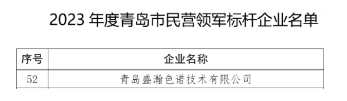 喜訊 | 盛瀚入選2023年度市民營領軍標桿企業名單